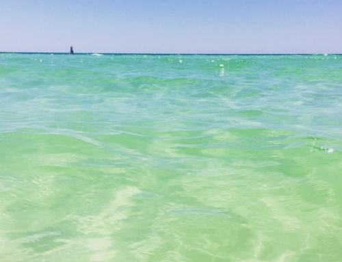 UNDERSTANDING THE WHITE SAND IN THE GULF OF MEXICO ALONG 30A  (PART 1)