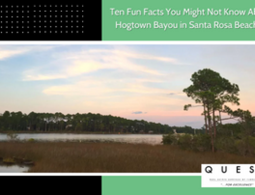 Ten Fun Facts You Might Not Know About Hogtown Bayou in Santa Rosa Beach, FL