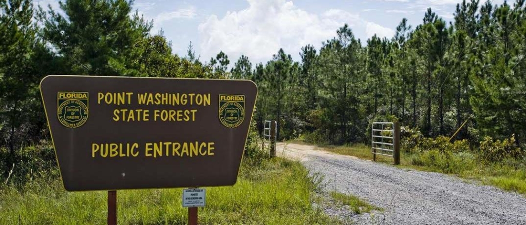 The Point Washington State Forest